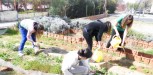 Ξεκινά ο δημοτικός λαχανόκηπος στο Δοκίμιο Αγρινίου 21 3 2012 138 E1362990637247