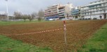 Ο πρώτος ελληνικός αστικός αμπελώνας δημιουργείται στη Θεσσαλονίκη Pic 0 Norm